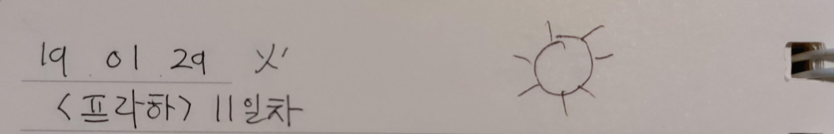 190129 프라하 날씨