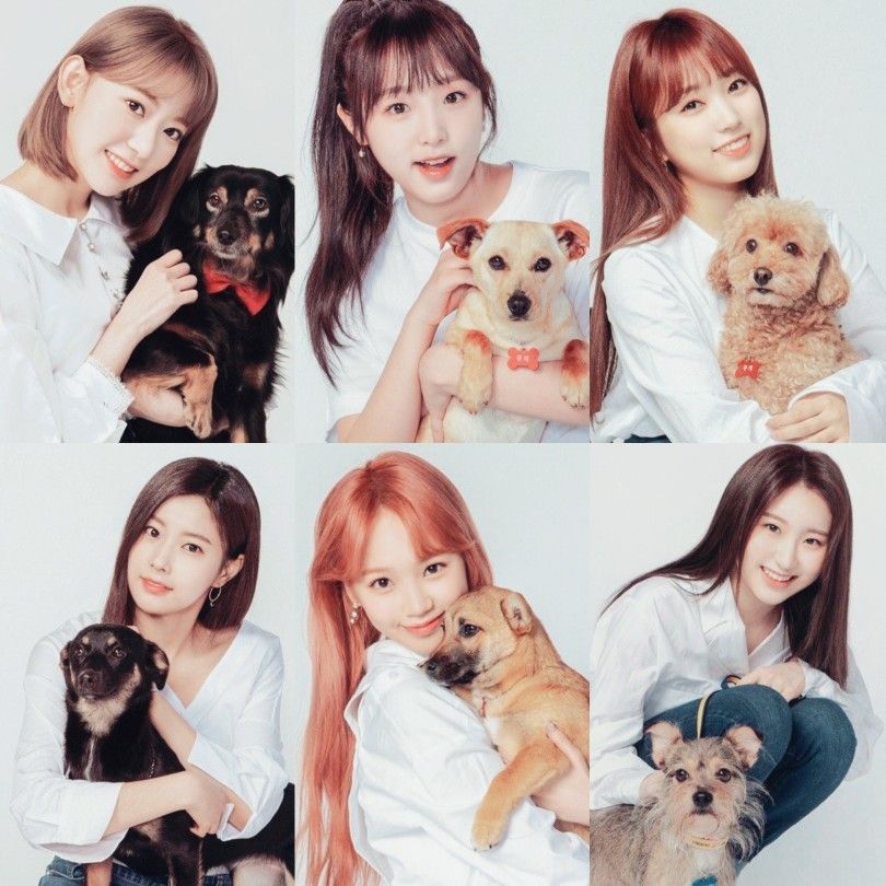 아이즈원 프로듀스48 사진 모음