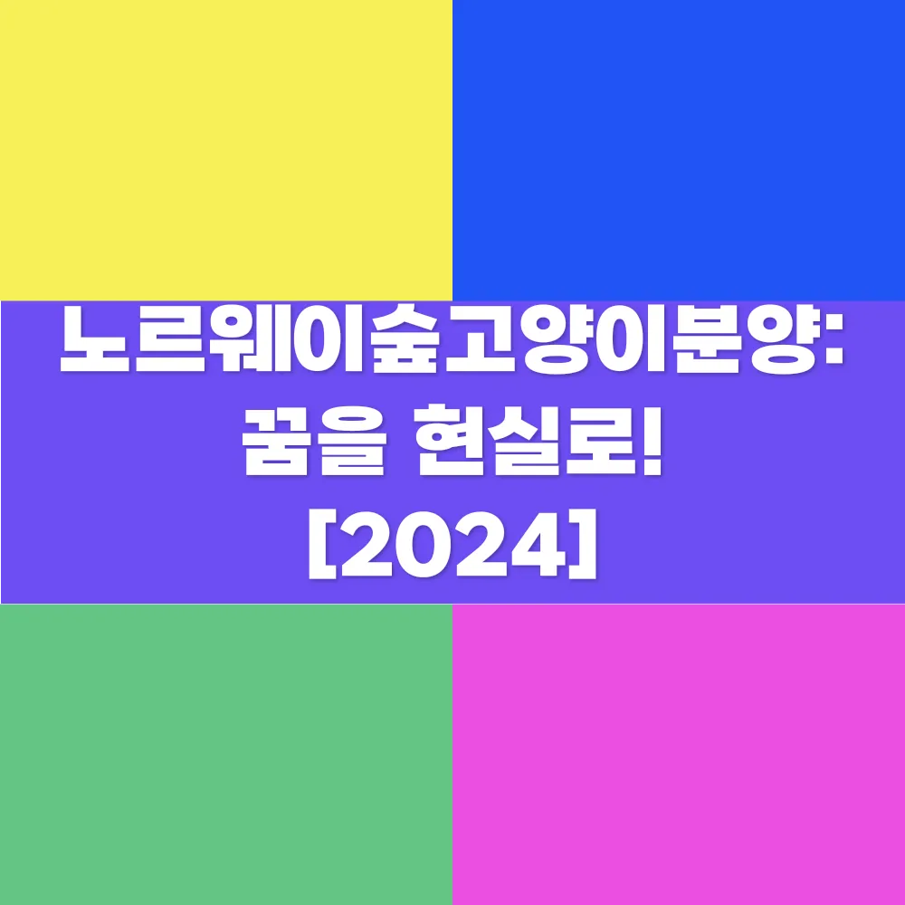 썸네일 이미지