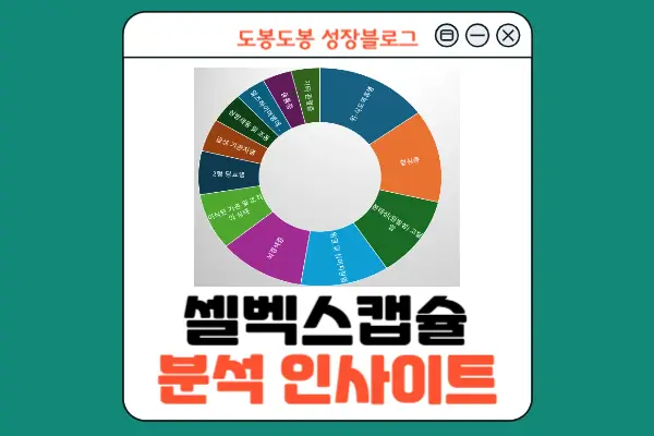 셀백스캡슐 분석 결과 인사이트 안내 이미지