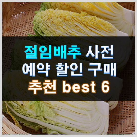 썸네일-절임배추 사전 예약 할인 구매 추천 best 6