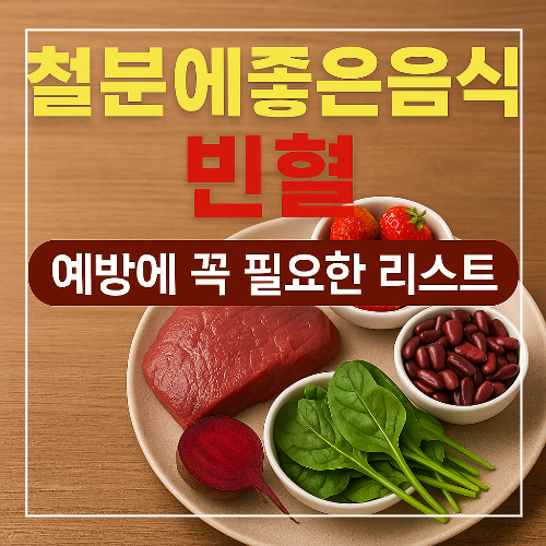 철분에좋은음식 빈혈 예방에 꼭 필요한 리스트