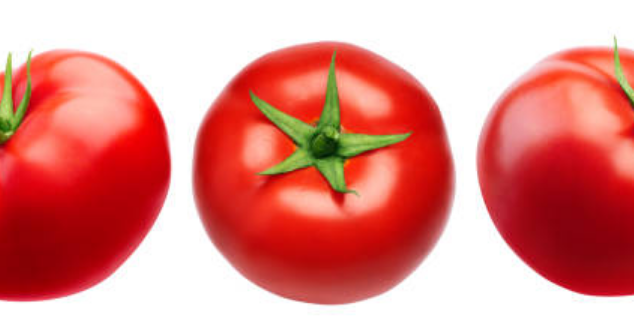 토마토 효능&amp;#44; 보관방법&amp;#44; 부작용 총정리 (2024ver)