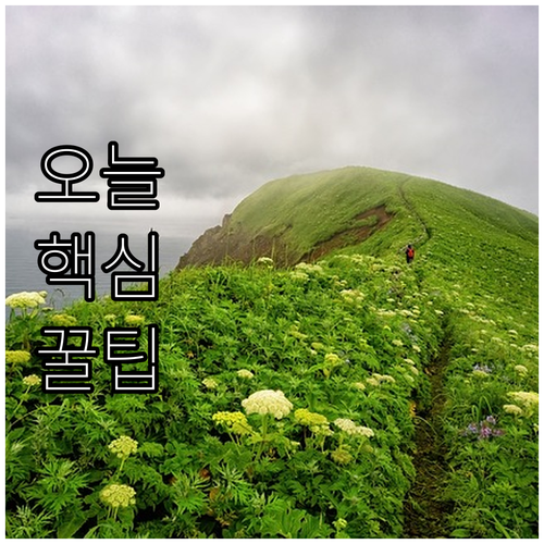 2025 상병급여 핵심 정보: 대상,..