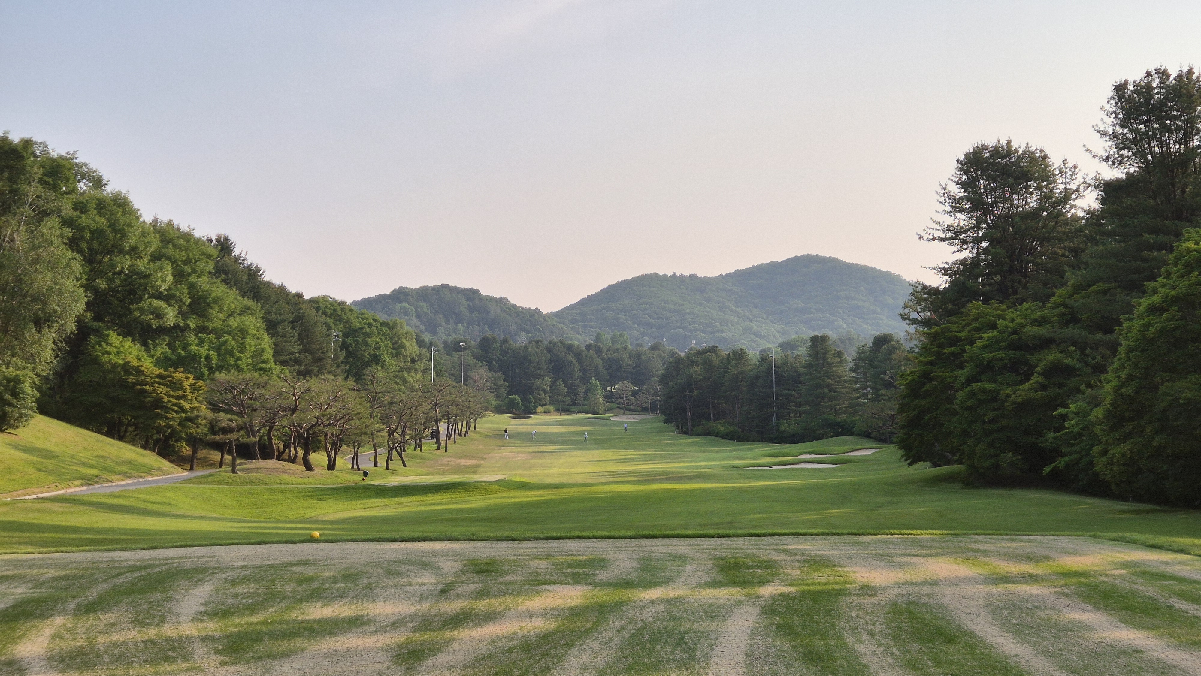 이포cc 라운드 후기