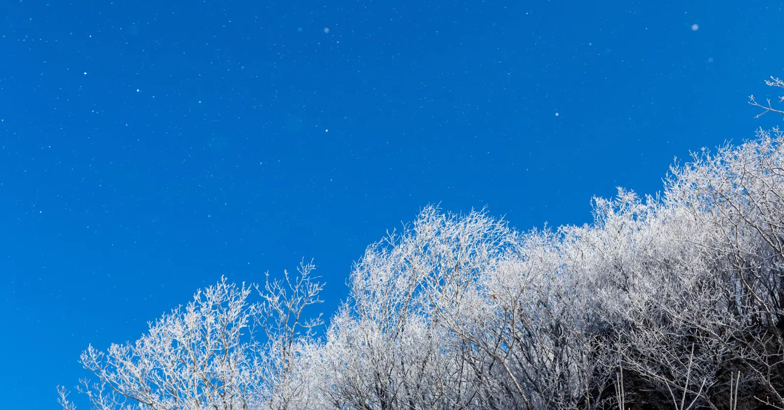 국립공원 실시간 CCTV 모바일로 보는 법
