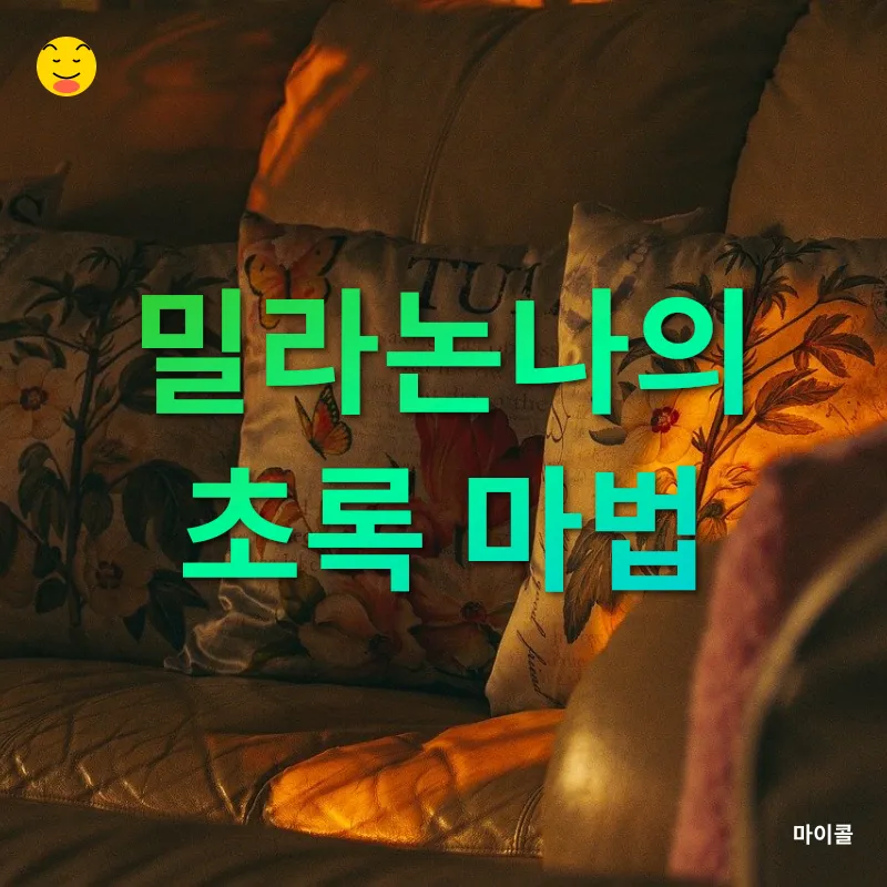 식물 인테리어_2