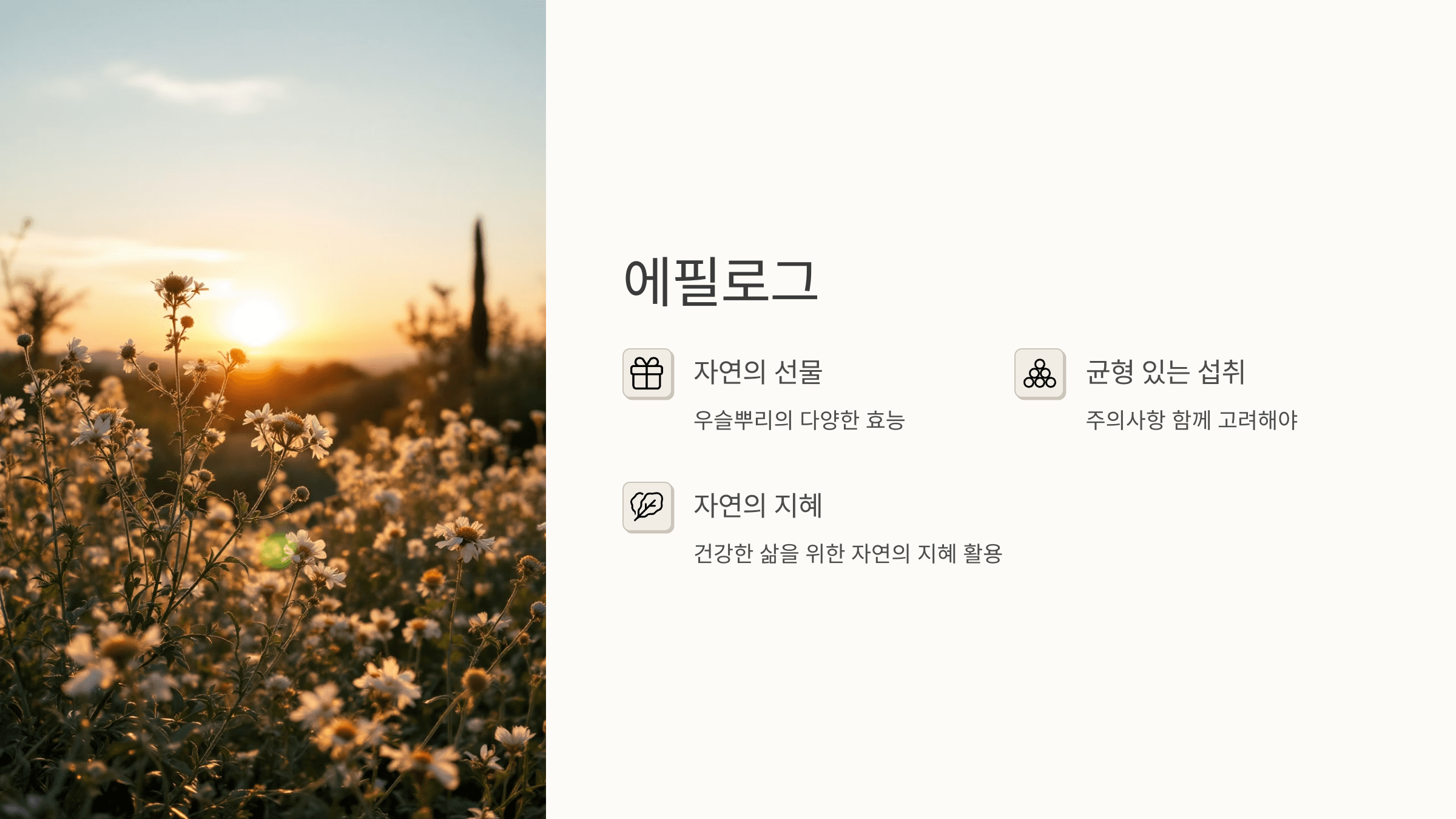 우슬뿌리 사진입니다.