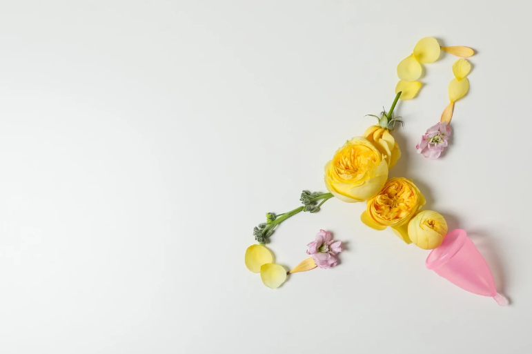 자궁과 관련된 사진