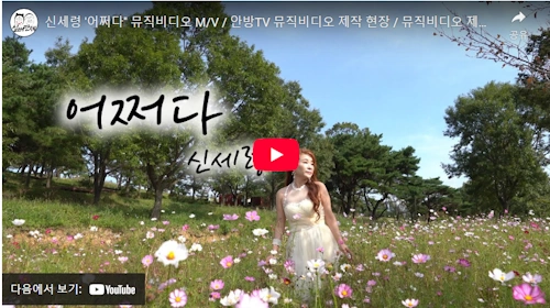 신세령 노래 어쩌다