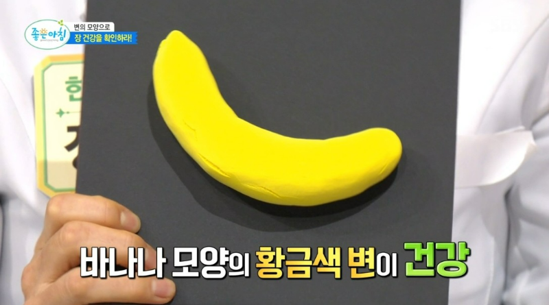 변비 증상 자가 진단 테스트