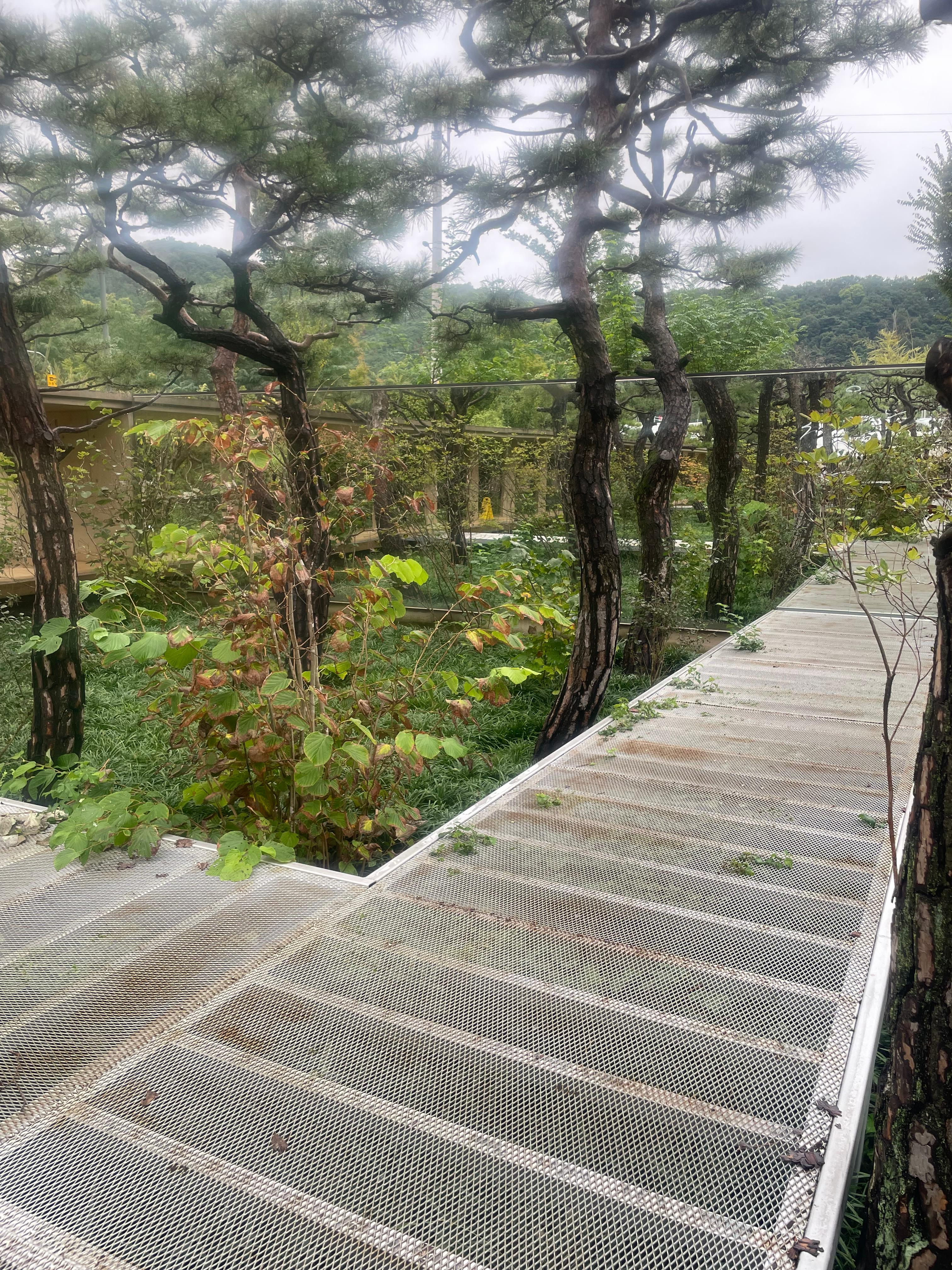 팔공산 대형카페 파이퍼 베이커리