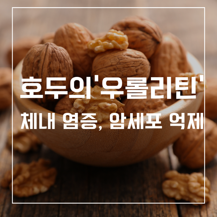 호두