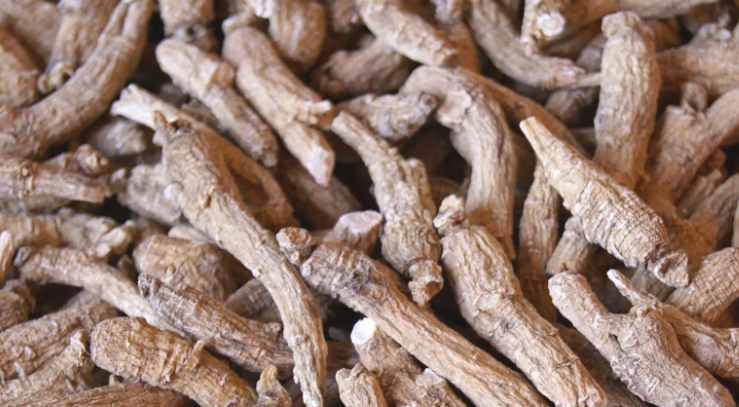 간에 좋은 약초