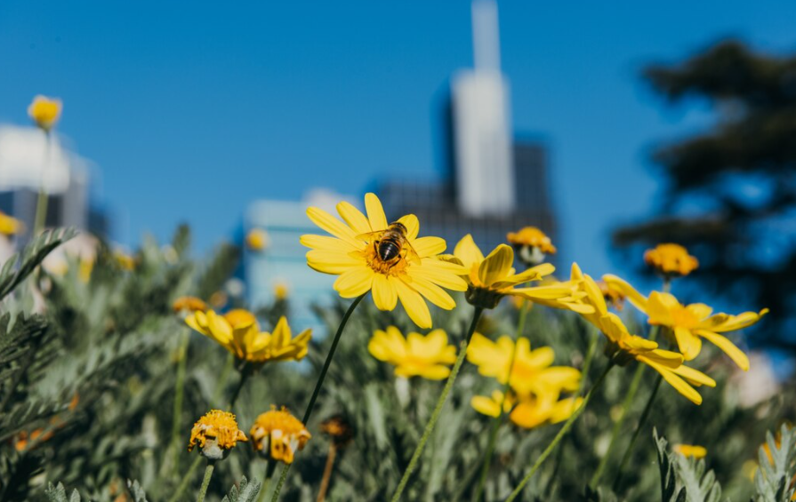 2주차 (5월 8일 월요일 - 5월 14일 일요일)