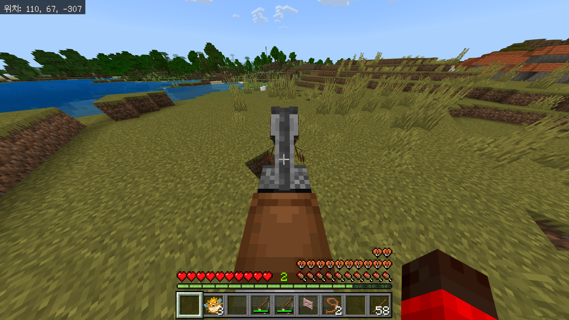 고양이를 찾고 길들이는 방법