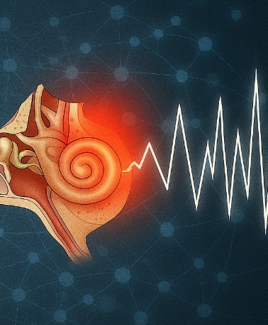 귀에서 삐소리가 나는 이유