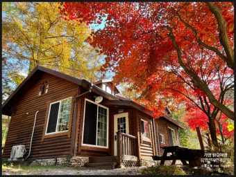 국립 자연휴양림 예약, 왜 나는 안 되고 남들만 될까?