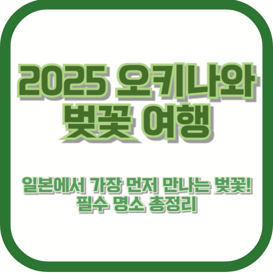 [2025 오키나와 벚꽃 여행] 일본에서 가장 먼저 만나는 벚꽃! 필수 명소 총정리