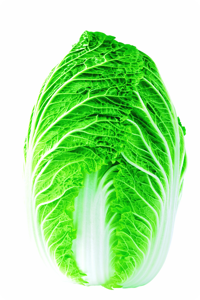 간에-좋은-음식