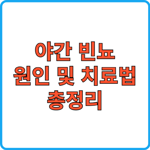 야간 빈뇨 원인 및 치료법 총정리