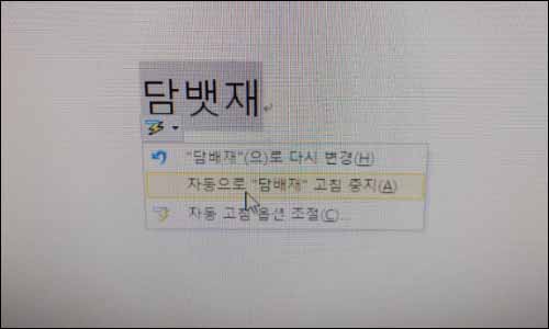 사진설명3