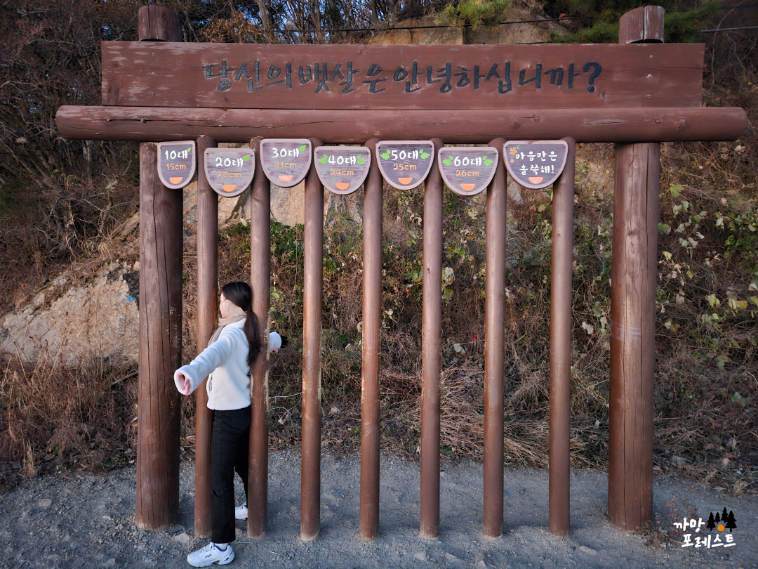 안산 구봉도 낙조 전망대 뱃살 측정