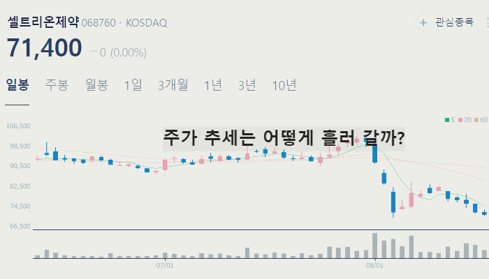 비만 치료제 관련주 대장주 TOP10