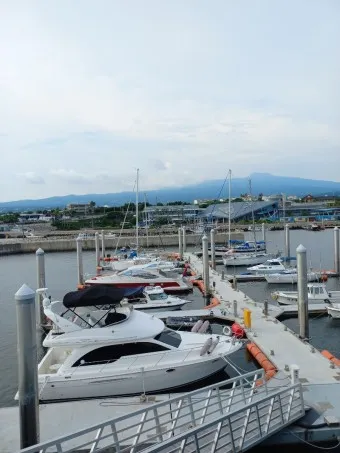 제주 강정항 출발 크루즈 여행 비용 예약 예매_7