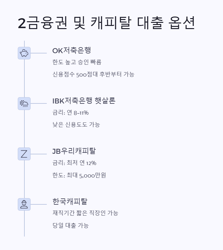 2금융권 및 캐피탈 대출 옵션 2