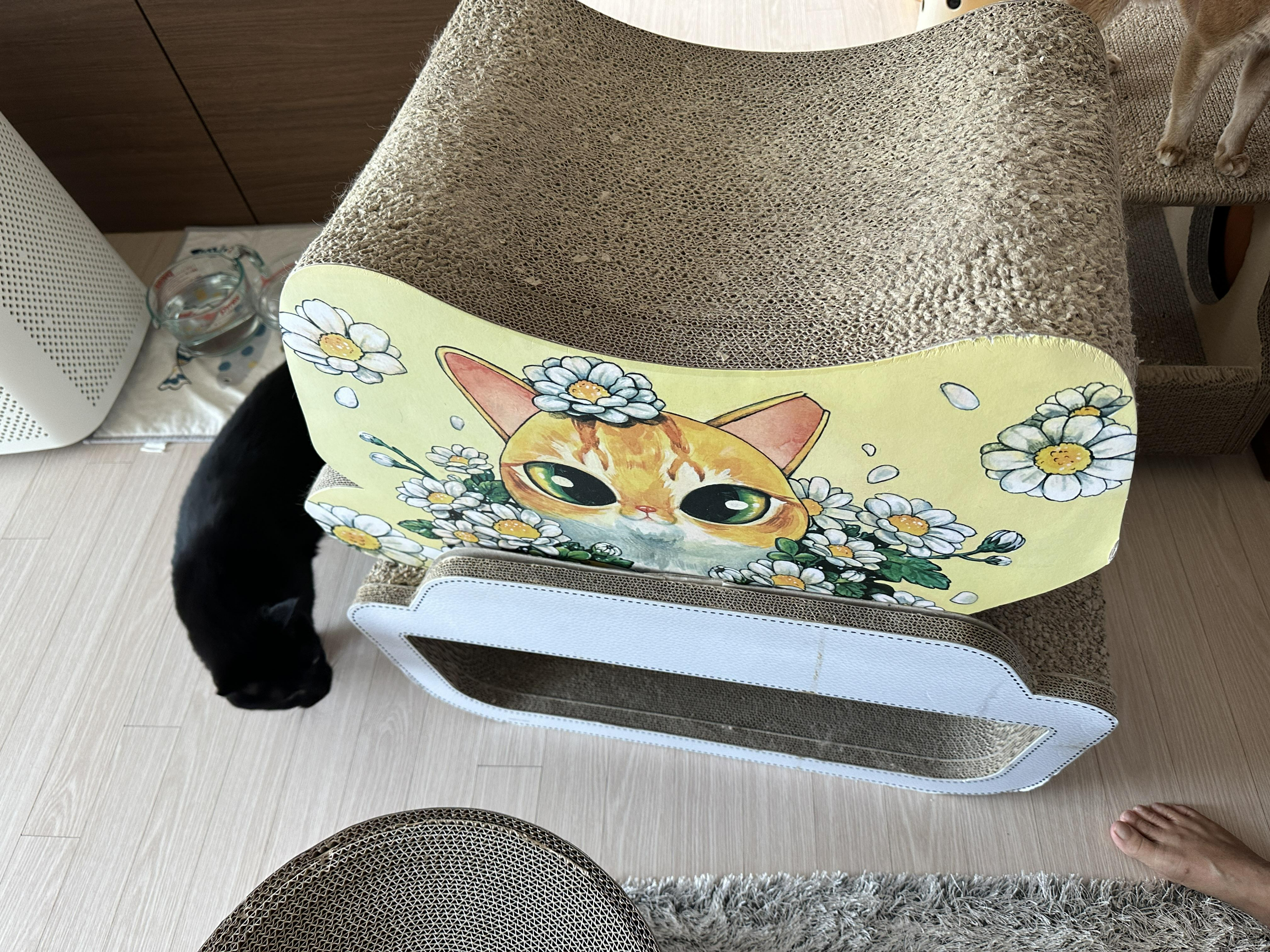 집에서_쓰던_헌_스크래쳐들