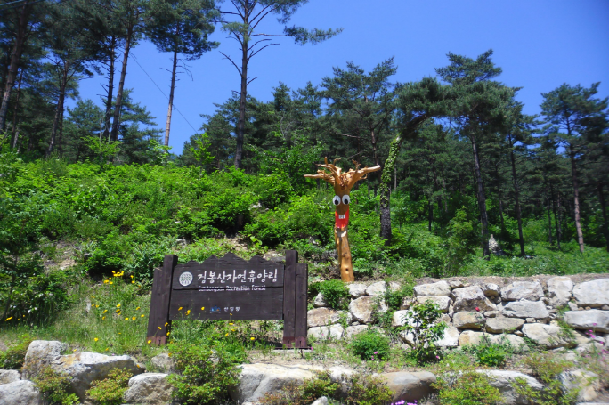삼척 국립 검봉산 자연휴양림 가는길 지도 위치 숙박 요금 예약 날씨 정보