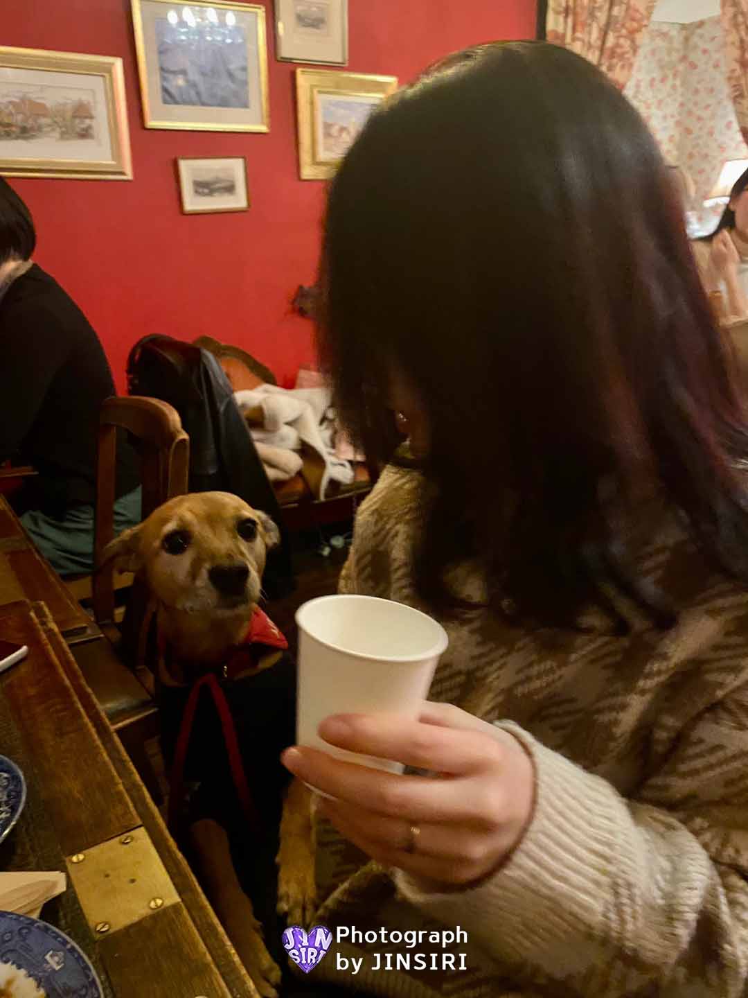 서울 을지로 카페 와인바 칵테일 힙지로 핫플 데이트