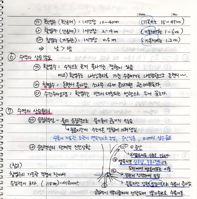 수액의 상승각도&#44; 상승원리