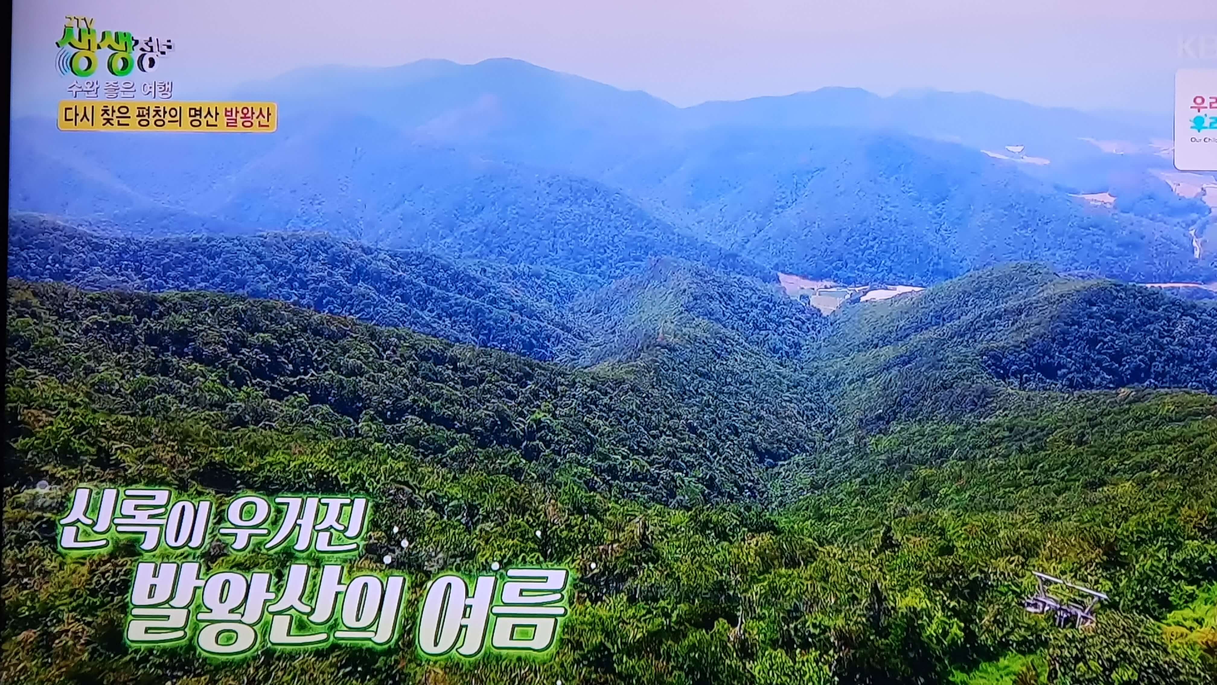 평창 가볼만한 곳 발왕산 케이블카 스카이워크