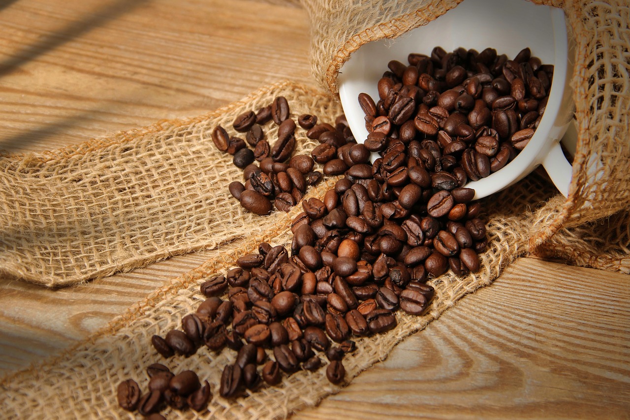 커피원두사진