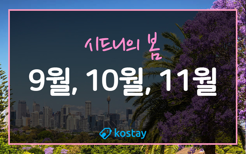 시드니의 봄