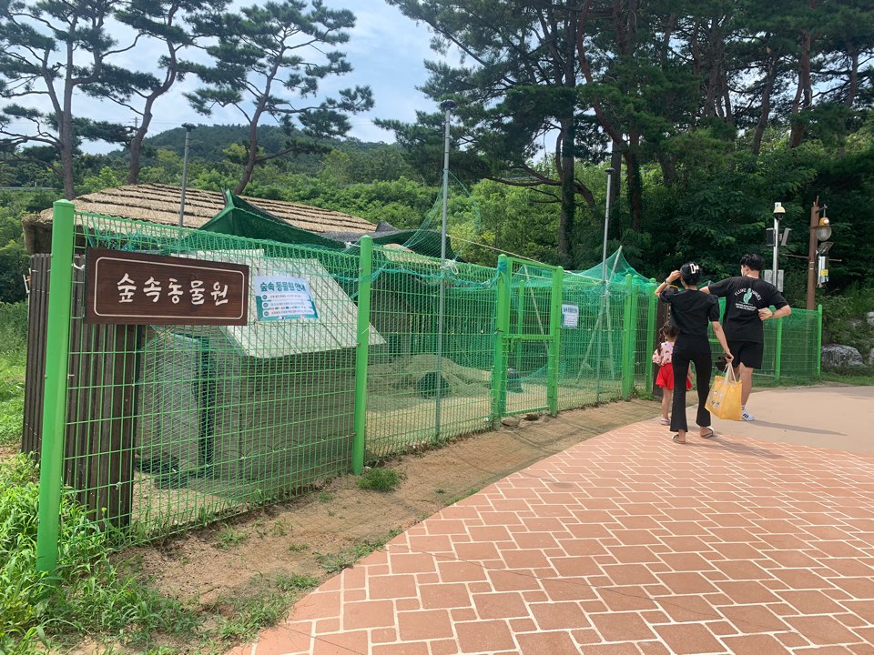 동물원 관람