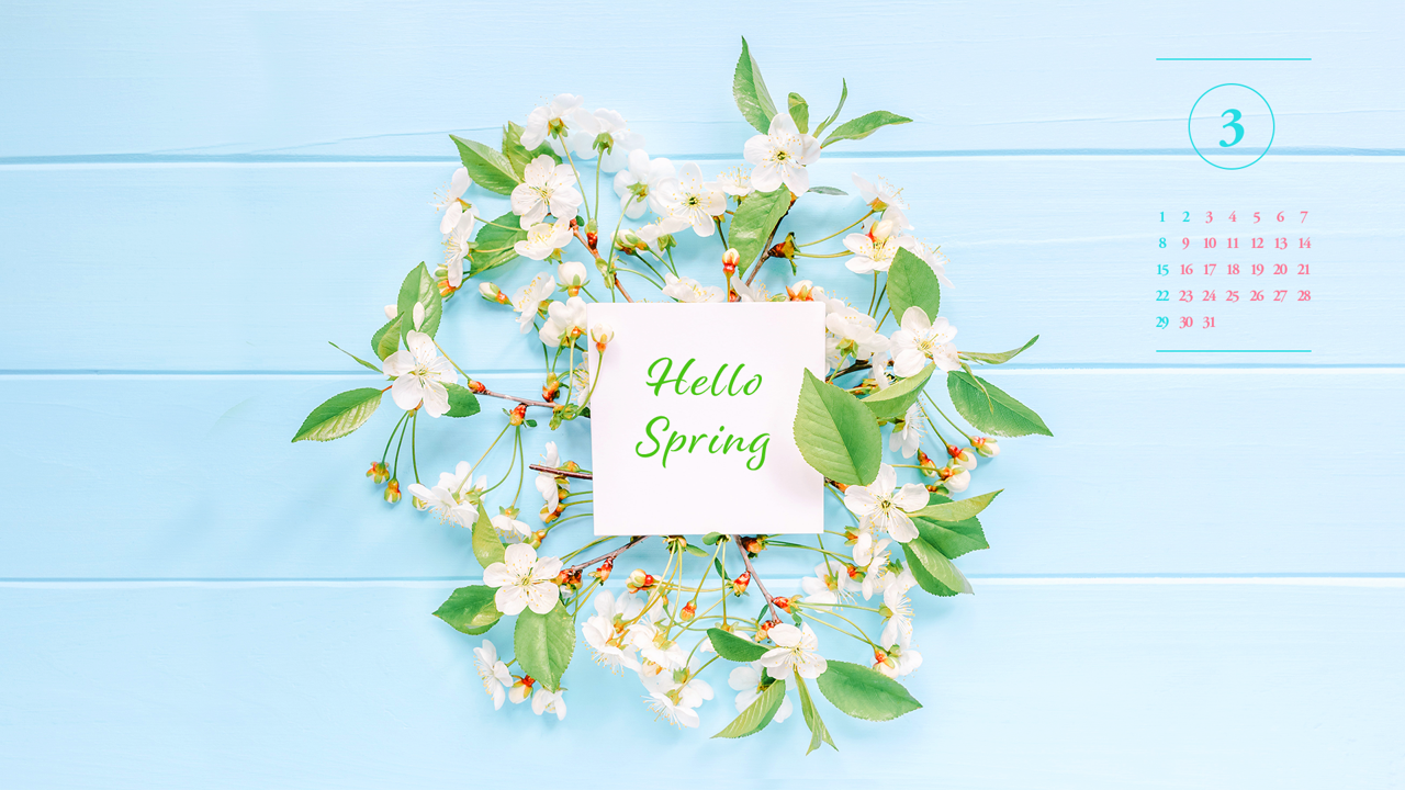 05 원형 벚꽃 장식 A - 2026년3월 달력배경화면