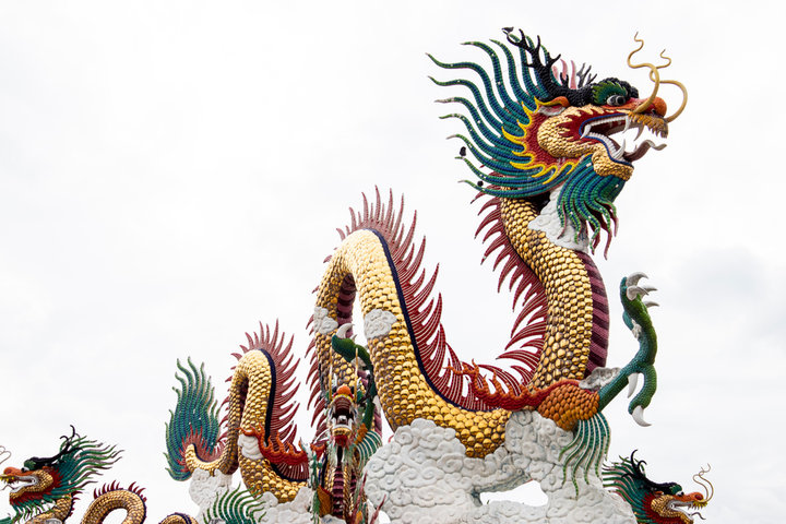 2025년 을사년 용띠 신년 운세