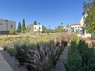 Starview at Echo Park Hill