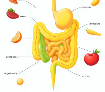 바른-곡물효소-효능-추천-제품-확인