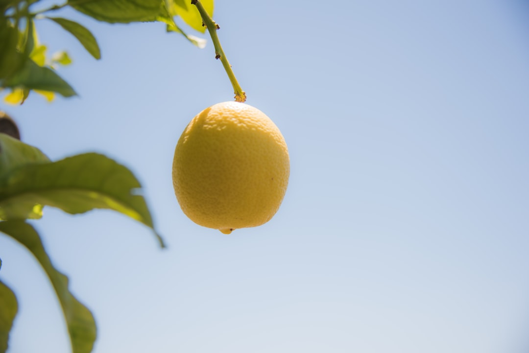 Lemonade