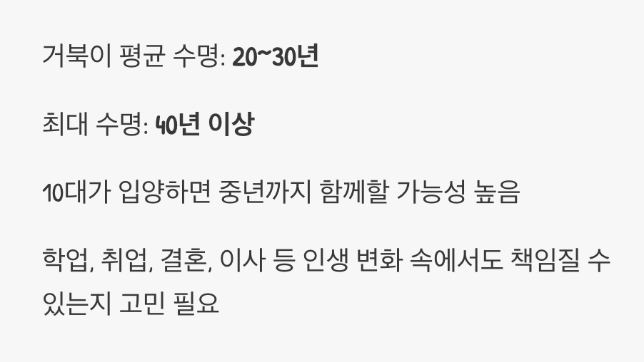 2. 몇 년이 아닌, 수십 년의 약속