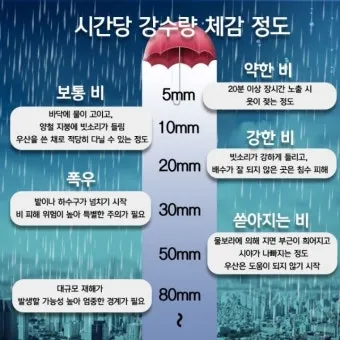 강수량 비 16mm 17mm 18mm 19mm 20mm 차이 체감 정보_9
