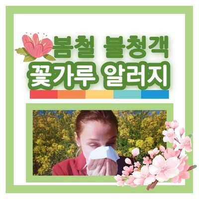 봄철 꽃가루 알레르기 대처법에 관한 그림