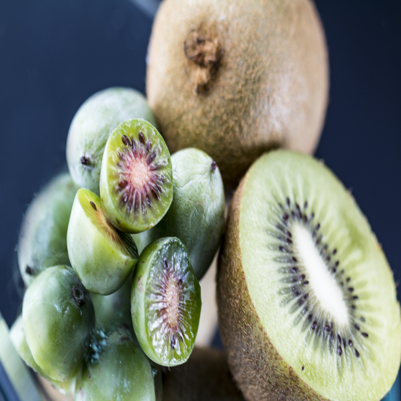 키위 종류 및 보관방법 보관법 효능 종류