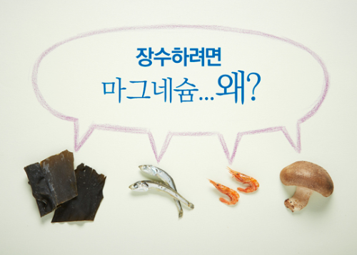 마그네슘 부족현상