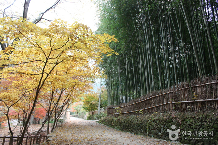 담양 가볼만한곳 베스트10