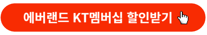 에버랜드-KT할인